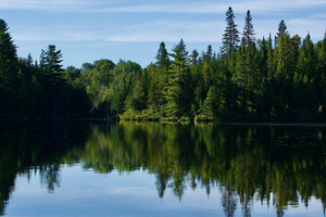 Działka na sprzedaż Rue des Géraniums, Sainte-Marguerite-du-Lac-Masson, QC J0T2N0, CA - zdjęcie 3