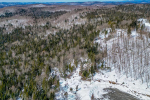 Działka na sprzedaż Rue du Génévrier, Sainte-Marguerite-du-Lac-Masson, QC J0T2N0, CA - zdjęcie 1