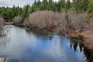 Działka na sprzedaż 115 Ch. de la Forêt, Notre-Dame-des-Bois, QC J0B2E0, CA - zdjęcie 1