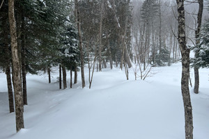 Działka na sprzedaż Ch. du Geai-Bleu, Saint-Sauveur, QC J0R1R1, CA - zdjęcie 3