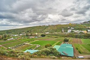 Dom na sprzedaż 500m2 - zdjęcie 3