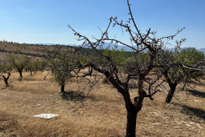 Działka na sprzedaż Andaluzja Grenada - zdjęcie 1