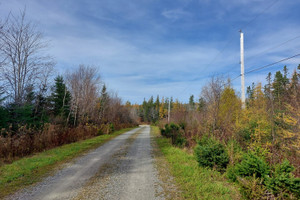 Działka na sprzedaż 11294m2 2380 Marble Mountain Rd, River Denys, NS B0E 3K0, Canada - zdjęcie 2