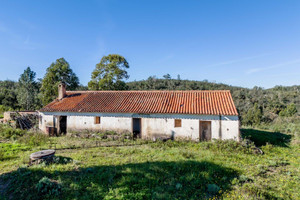 Dom na sprzedaż 90m2 - zdjęcie 2