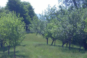 Działka na sprzedaż гр. Априлци/gr. Aprilci - zdjęcie 1