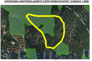 Komercyjne na sprzedaż 75000m2 Unnamed Road - zdjęcie 2