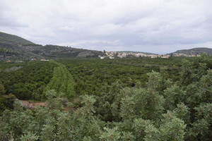 Działka na sprzedaż 7700m2 Epar.Od. Paleas Epidavrou - Methanon - zdjęcie 3