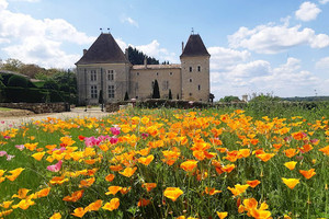 Dom na sprzedaż 1000m2 - zdjęcie 3