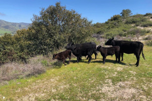 Działka na sprzedaż Indian Creek Ranch, Carmel Valley Rd - zdjęcie 3