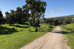 Działka na sprzedaż Indian Creek Ranch, Carmel Valley Rd - zdjęcie 1