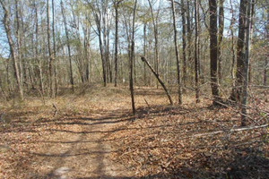 Działka na sprzedaż 0 Nebo Road - zdjęcie 3