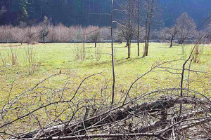 Działka na sprzedaż гр. Велинград/gr. Velingrad - zdjęcie 3