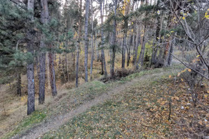 Działka na sprzedaż гр. Велинград/gr. Velingrad - zdjęcie 1