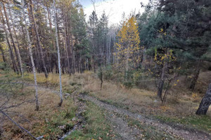 Działka na sprzedaż гр. Велинград/gr. Velingrad - zdjęcie 2